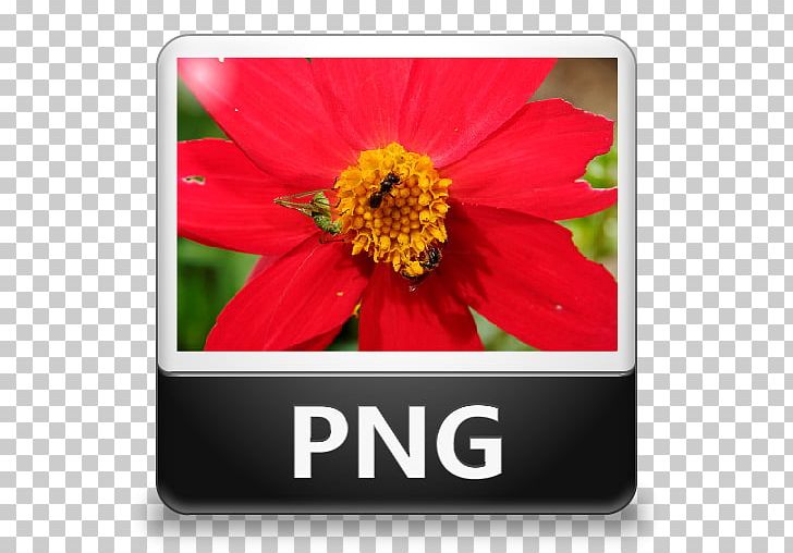 Computer Icons JPEG File Interchange Format PNG, Clipart, Com File, Computer Icons, Daisy Family, Data Recovery, Download Free PNG Download