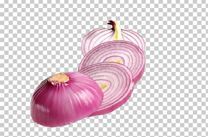 Onion Vegetable Comb PNG, Clipart, Allium Fistulosum, Comb, Euclidean Vector, Food, Fruit Free PNG Download