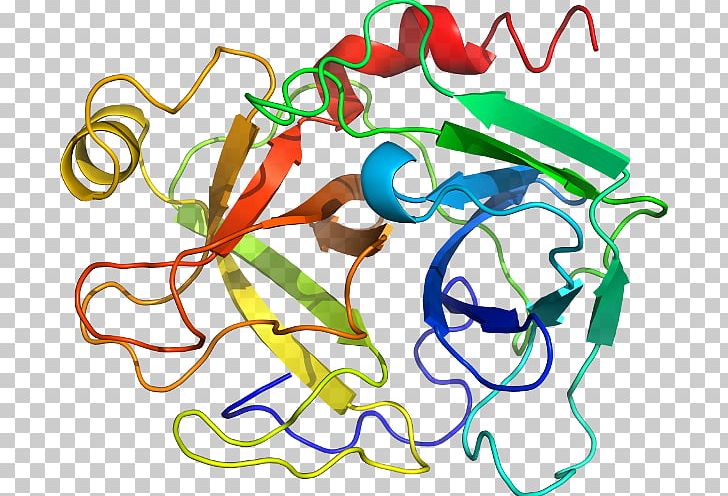 Organism Line PNG, Clipart, Area, Art, Artwork, Line, Organism Free PNG Download