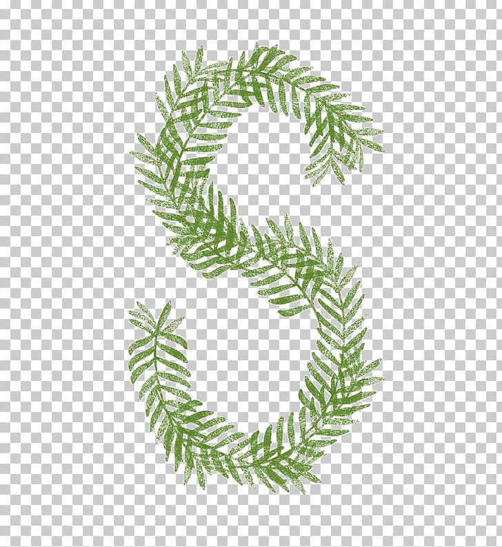 Plant Leaf PNG, Clipart, Branch, Conifer, Desktop Wallpaper, Evergreen, Fern Free PNG Download