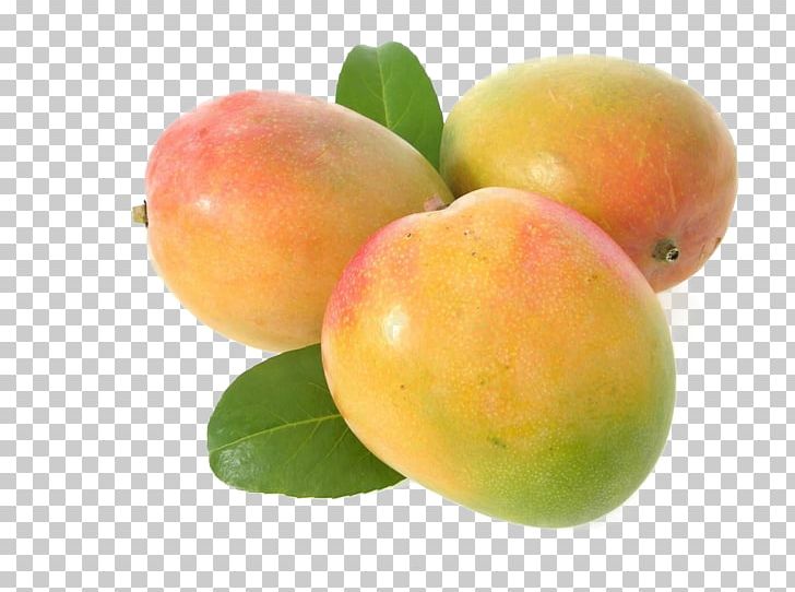 Mango Getty S Fruit PNG, Clipart, Apple, Citrus, Cut Mango, Diet Food, Download Free PNG Download