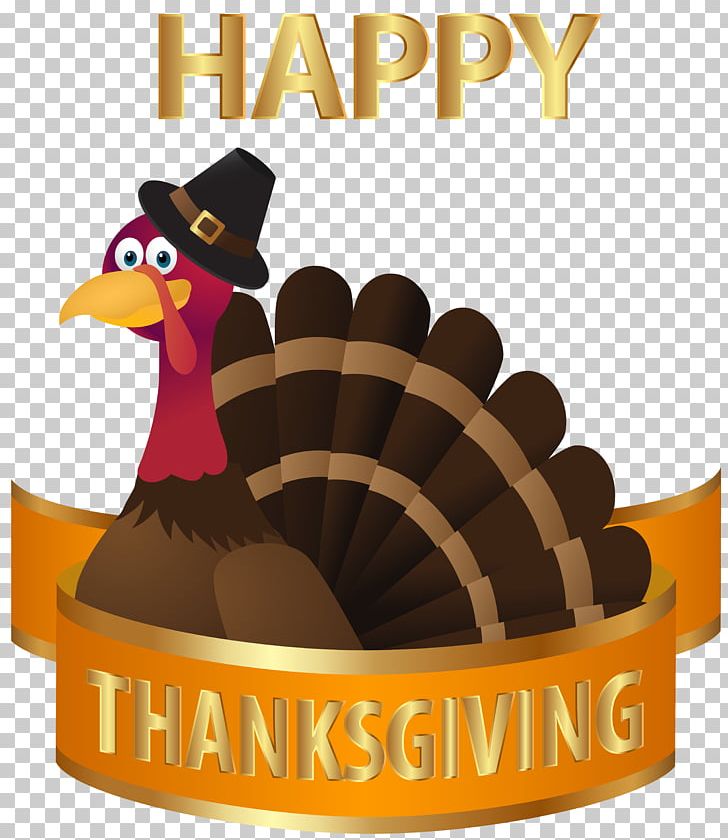 National Thanksgiving Turkey Presentation United States Thanksgiving Dinner PNG, Clipart, Beak, Clipart, Clip Art, Cornucopia, Cricut Free PNG Download