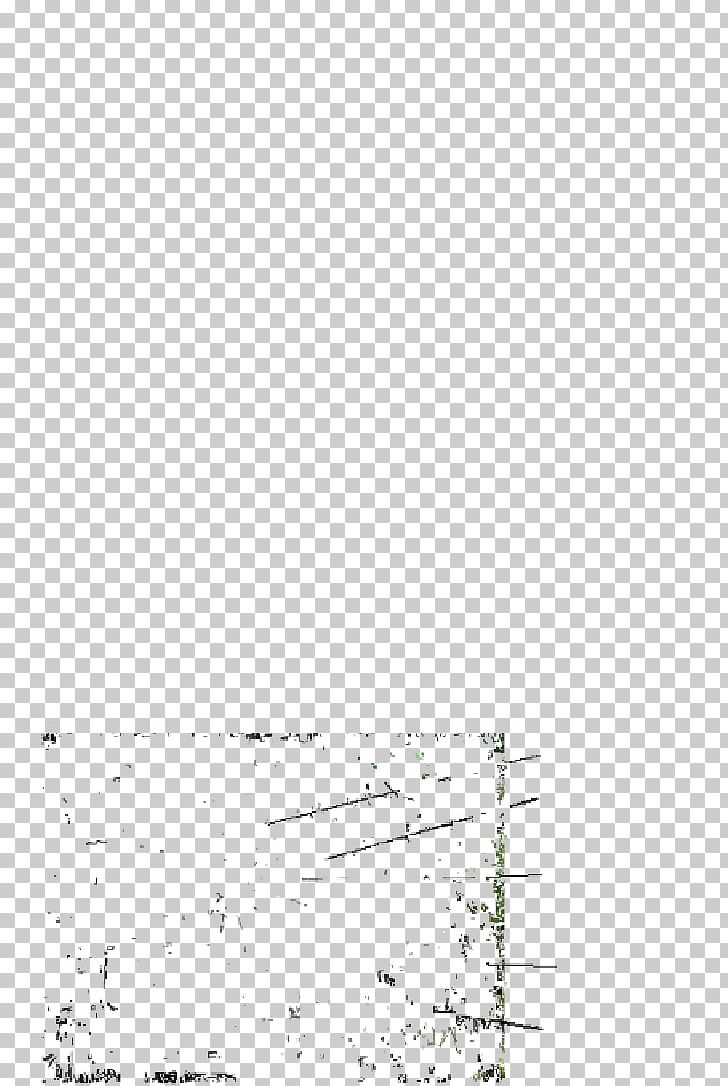 Paper White Point Angle PNG, Clipart, Angle, Area, Black, Black And White, Diagram Free PNG Download