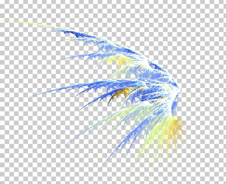 Wing Feather PNG, Clipart, Angel Wing, Angel Wings, Beautiful, Blue, Chicken Wings Free PNG Download