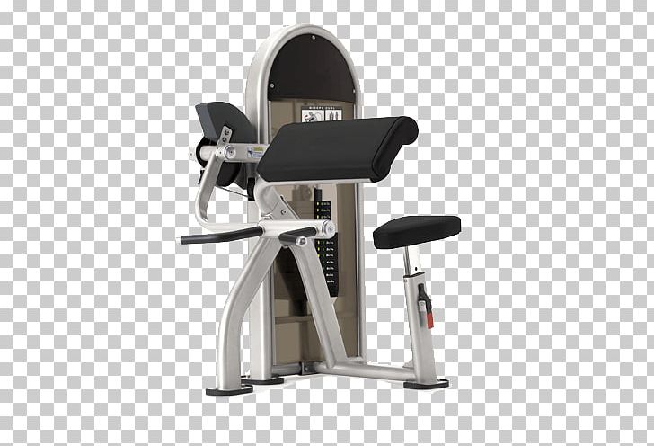 Biceps Curl Triceps Brachii Muscle Bench Lying Triceps Extensions PNG, Clipart, Arm, Bench, Biceps, Biceps Curl, Crunch Free PNG Download