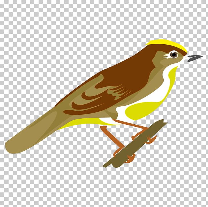 Old World Orioles Finches Common Nightingale Beak PNG, Clipart, Animals, Beak, Bird, Common Nightingale, Cuckoos Free PNG Download