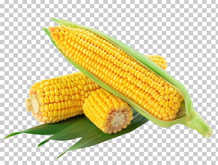Waxy Corn Flint Corn Corn On The Cob Sweet Corn Maize PNG, Clipart, Banana Leaves, Commodity, Corn, Corn Kernel, Corn Kernels Free PNG Download
