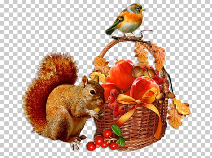 Autumn Centerblog Season Day PNG, Clipart, Animals, Autumn, Balloon Cartoon, Baskets, Bird Free PNG Download
