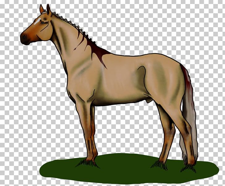 Mule Foal Mustang Mare Stallion PNG, Clipart,  Free PNG Download