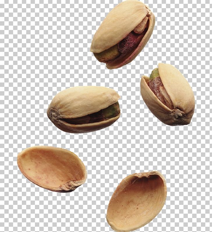 Pistachio Photography Nut PNG, Clipart, Cashew, Commodity, Food, Ingredient, Meng Po Free PNG Download