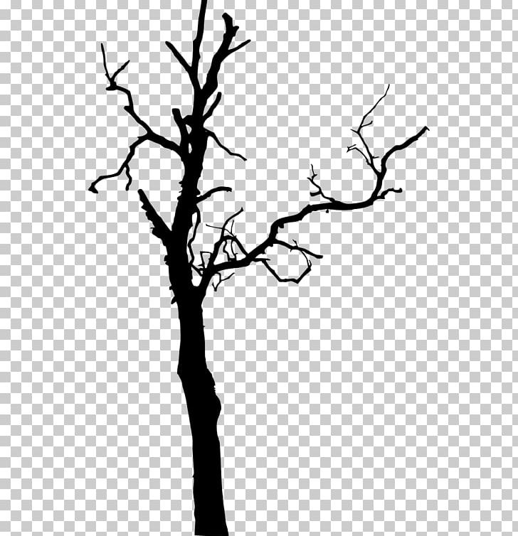 Twig Tree PNG, Clipart, Black And White, Branch, Dead, Dead Tree, Flower Free PNG Download