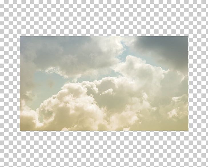 Desktop Cloud Forest Sky White PNG, Clipart, Atmosphere, Cloud, Cloud Forest, Computer, Computer Wallpaper Free PNG Download