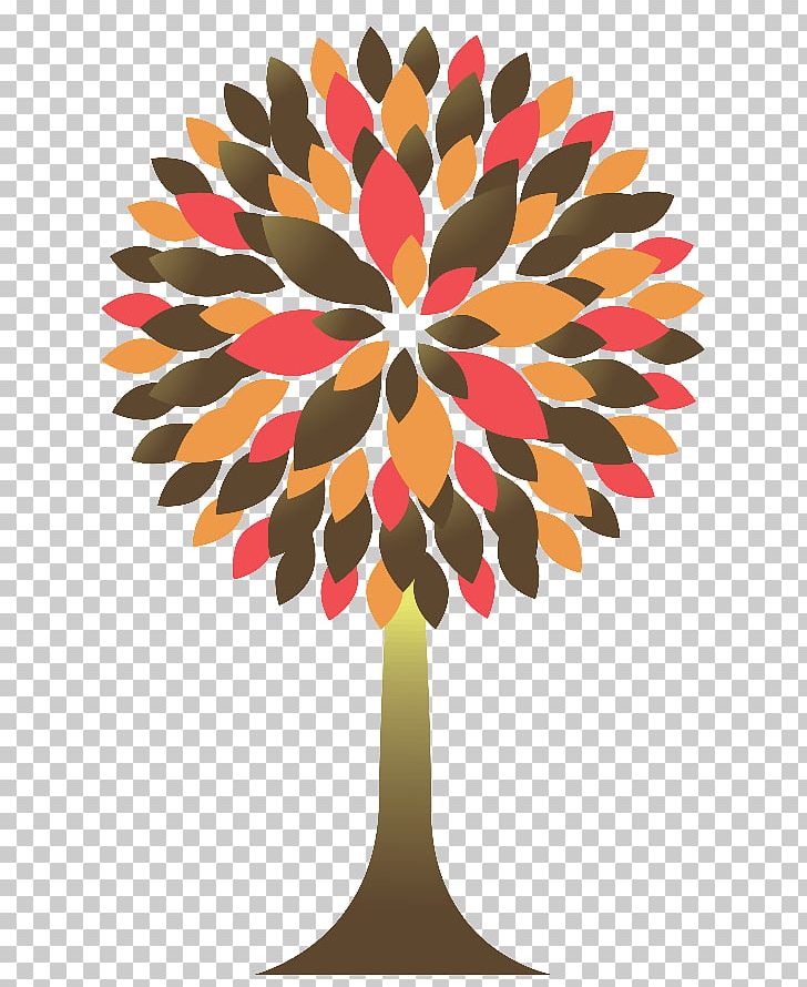 Narasaraopeta Engineering College Tree PNG, Clipart, Andhra Pradesh, Autumn, Autumn Leaf Color, Branch, Download Free PNG Download