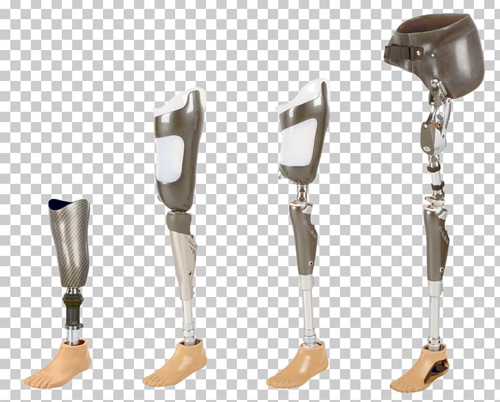 Prosthesis Limb Orthotics Health Care Human Leg PNG, Clipart, Amputation, Arm, Bacak, Foot, Hand Free PNG Download