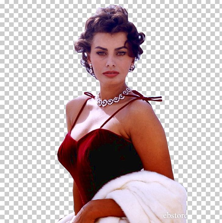 Sophia Loren Actor France Autograph PNG, Clipart, Actor, Autograph, Beauty, Beyonce, Brown Hair Free PNG Download