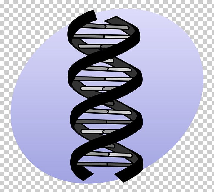 DNA Sequencing Genetics Mutation PNG, Clipart, Discover, Discovery, Dna, Dna Sequencing, Gene Free PNG Download