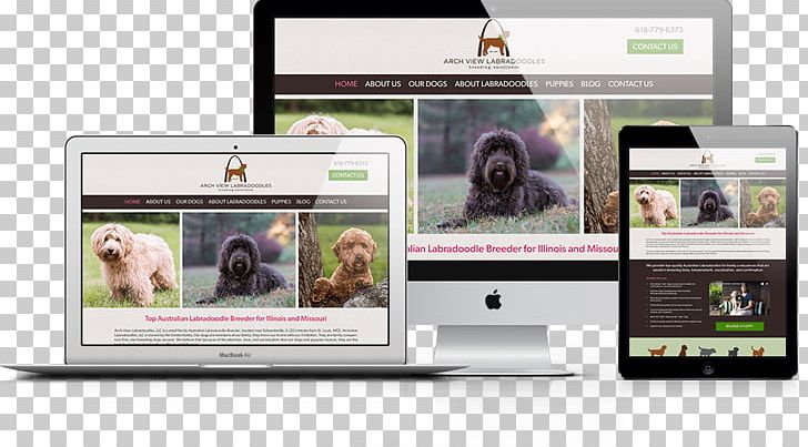 Web Design ArchView Labradoodles Southlake Classic Pet Retreat PNG, Clipart, Art, Brand, Business, Customer, Diogi Pet Services And Training Free PNG Download