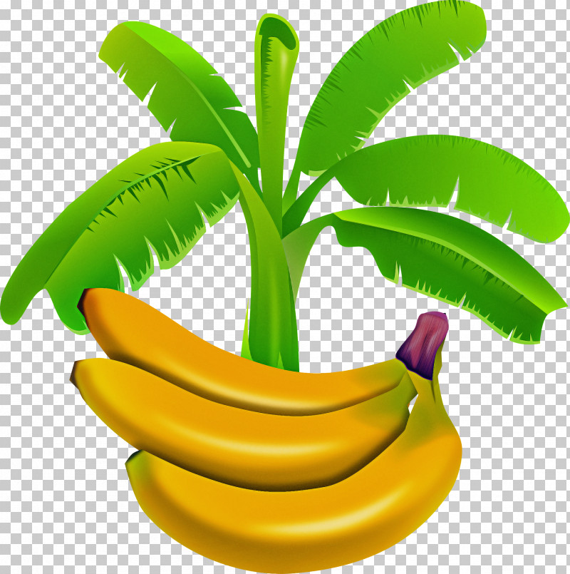 Banana Leaf PNG, Clipart, Banana, Banana Bread, Banana Leaf, Banana Peel, Fruit Free PNG Download