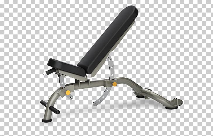 Bench Press Exercise Equipment Smith Machine Dumbbell PNG, Clipart, Angle, Ben, Bench, Exercise, Exercise Bikes Free PNG Download