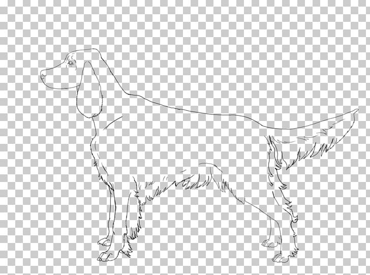 Dog Breed Sporting Group White Sketch PNG, Clipart, Animals, Artwork, Black And White, Breed, Carnivoran Free PNG Download