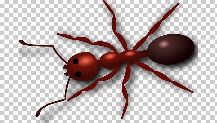 Red Imported Fire Ant PNG, Clipart, Ant, Ants Cliparts, Arthropod, Clip Art, Computer Wallpaper Free PNG Download