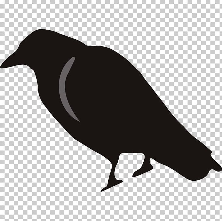 Rook Common Raven Stock.xchng PNG, Clipart, Beak, Bird, Black And White, Clip Art, Common Raven Free PNG Download