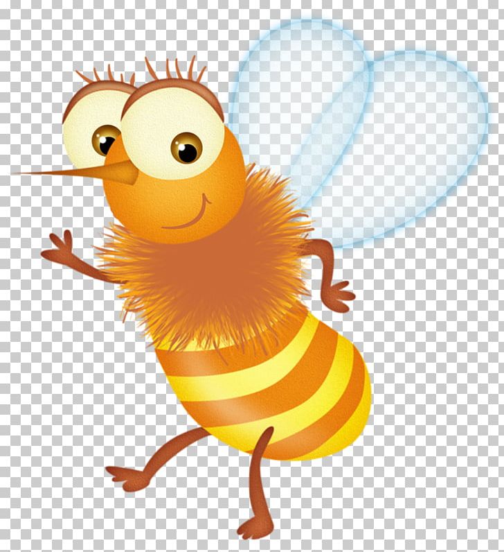 Bee Insect Apis Florea Illustration PNG, Clipart, Apis Florea, Art, Balloon Cartoon, Beak, Bee Free PNG Download