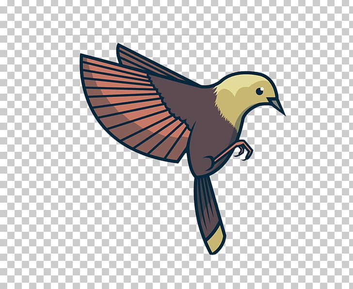 Bird Flight Feather Beak Wing PNG, Clipart, Animal, Beak, Bird, Bird Cage, Bird Flight Free PNG Download