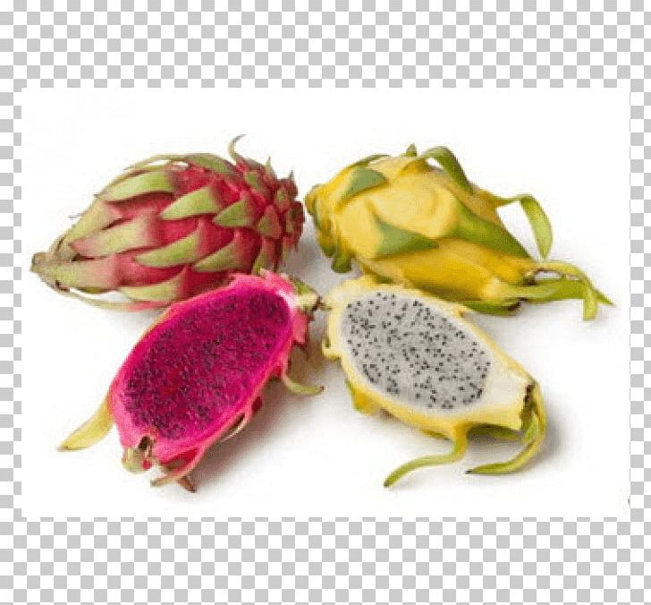 Pitaya Fruit Nutrition Health Dietary Fiber PNG, Clipart, Calorie, Diet, Dietary Fiber, Eating, Food Free PNG Download
