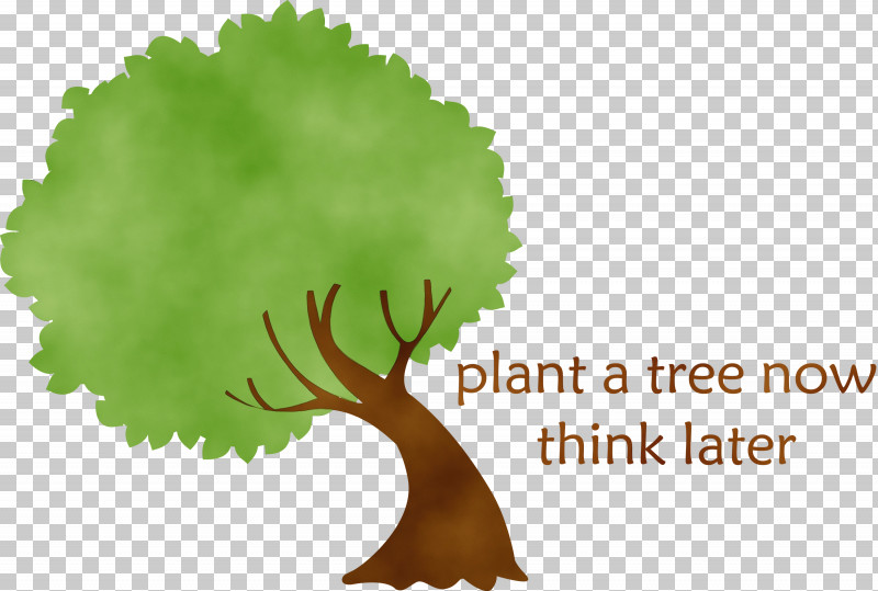 Fruit Tree PNG, Clipart, Arbor Day, Arborist, Branch, Fruit Tree, Oak Free PNG Download
