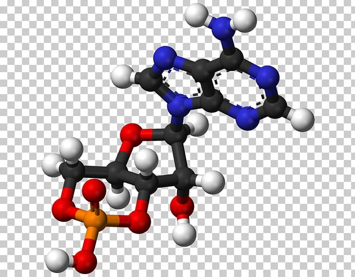 Ball-and-stick Model Adenosine Diphosphate Molecule Adenosine Triphosphate Cyclic Adenosine Monophosphate PNG, Clipart,  Free PNG Download