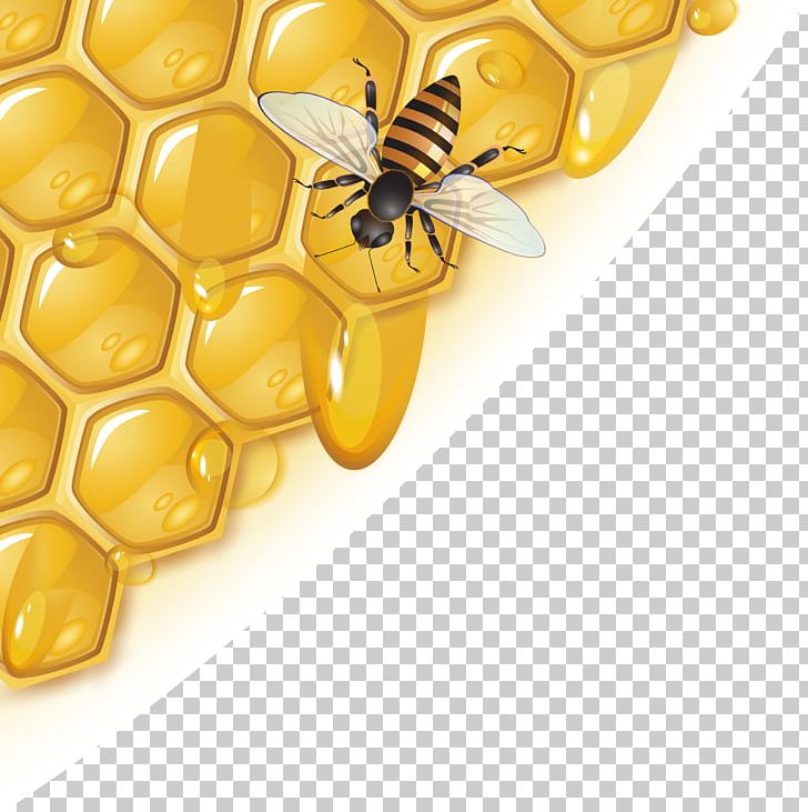 Beekeeper Honey Extractor Sugar PNG, Clipart, Angle Flower, Computer Wallpaper, Encapsulated Postscript, Happy Birthday Vector Images, Hon Free PNG Download