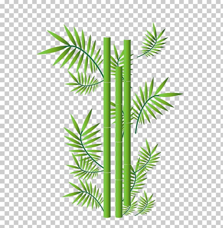 Bamboo Ornament Illustration PNG, Clipart, Arecales, Art, Bamboo Border, Bamboo Frame, Bamboo Leaf Free PNG Download
