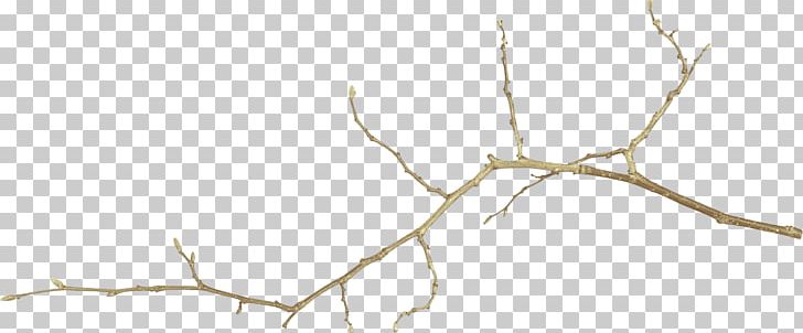Twig /m/02csf Polytree Plant Stem Drawing PNG, Clipart, Artwork, Branch, Drawing, Germination, Leaf Free PNG Download