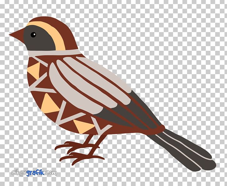 Bird Geometry Pattern PNG, Clipart, Animal, Animals, Beak, Bird, Birds Free PNG Download