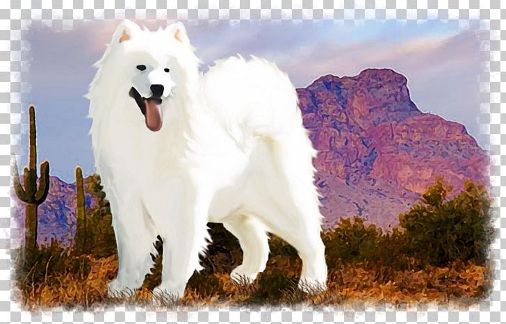 Dog Breed Samoyed Dog Canadian Eskimo Dog White Shepherd American Eskimo Dog PNG, Clipart, American Eskimo Dog, Berger Blanc Suisse, Breed, Canadian Eskimo Dog, Carnivoran Free PNG Download