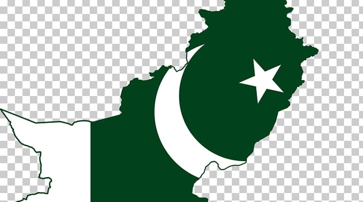 United States India Culture Of Pakistan Pakistan Day Flag Of Pakistan PNG, Clipart, Computer Wallpaper, Courses, Culture Of Pakistan, Flag Of Pakistan, Flowering Plant Free PNG Download