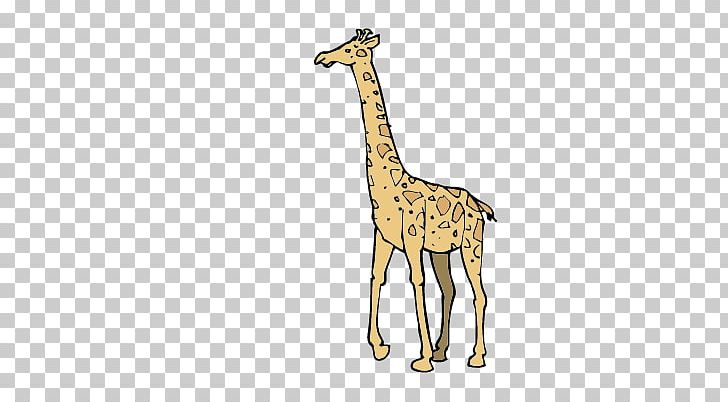 Giraffe Fauna Wildlife Pattern PNG, Clipart, Animal, Animals, Cartoon Giraffe, Cute Giraffe, Fauna Free PNG Download