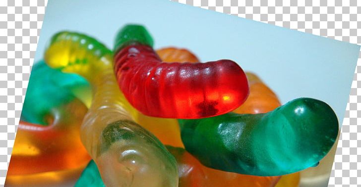 Gummy Bear Close-up PNG, Clipart, Bear, Candy, Closeup, Confectionery, Food Free PNG Download