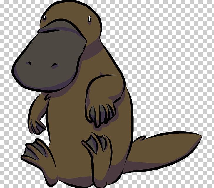 Platypus Beaver Animal Cartoon Drawing PNG, Clipart, Animal, Animals, Beak, Beaver, Card Free PNG Download