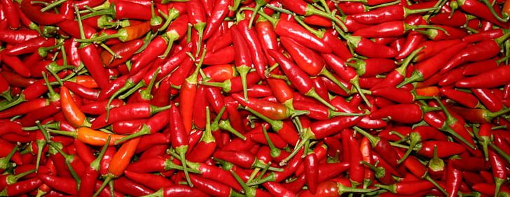 Kashmiri Cuisine Chili Pepper Capsicum Spice Agriculture PNG, Clipart, Agriculture, Bell Pepper, Bhut Jolokia, Birds Eye Chili, Cayenne Pepper Free PNG Download