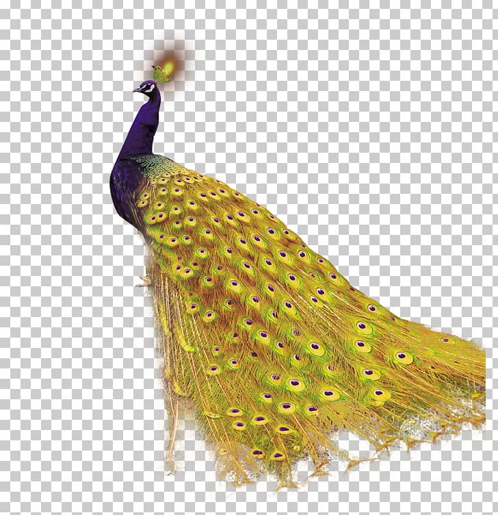 Mobile App Android Peafowl Icon PNG, Clipart, Android, Animals, App Store, Bird, Computer Icons Free PNG Download