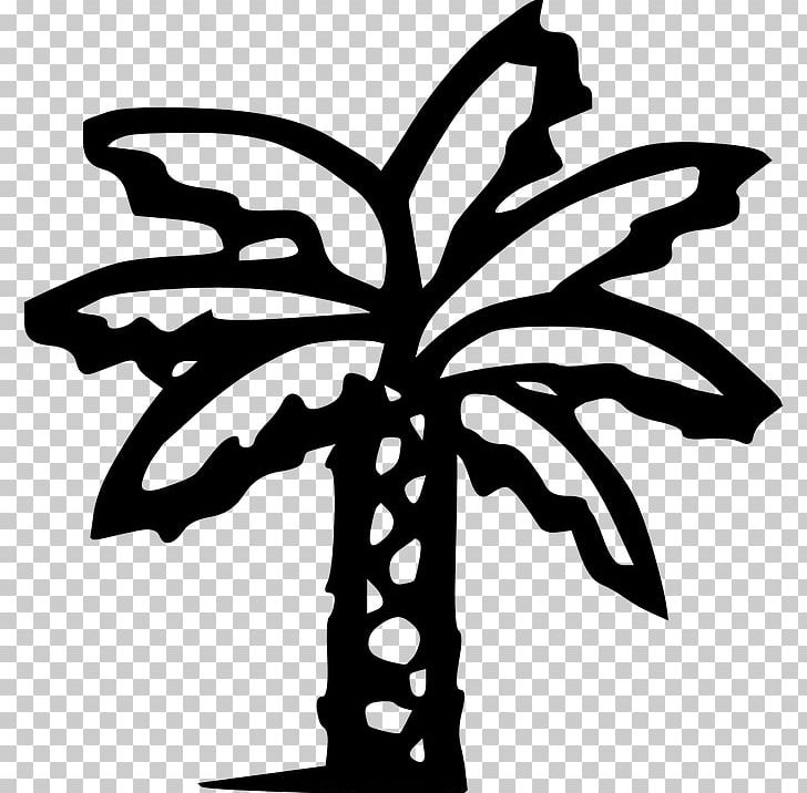 Arecaceae PNG, Clipart, African Oil Palm, Arecaceae, Artwork, Black And White, Butterfly Free PNG Download