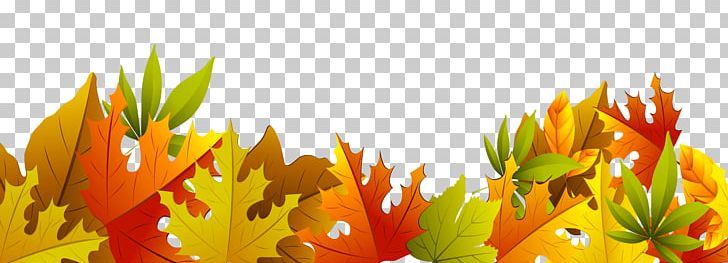 Autumn Leaf Color PNG, Clipart, Autumn, Autumn Leaf Color, Computer Wallpaper, Decorated Mango Leafs, Document Free PNG Download