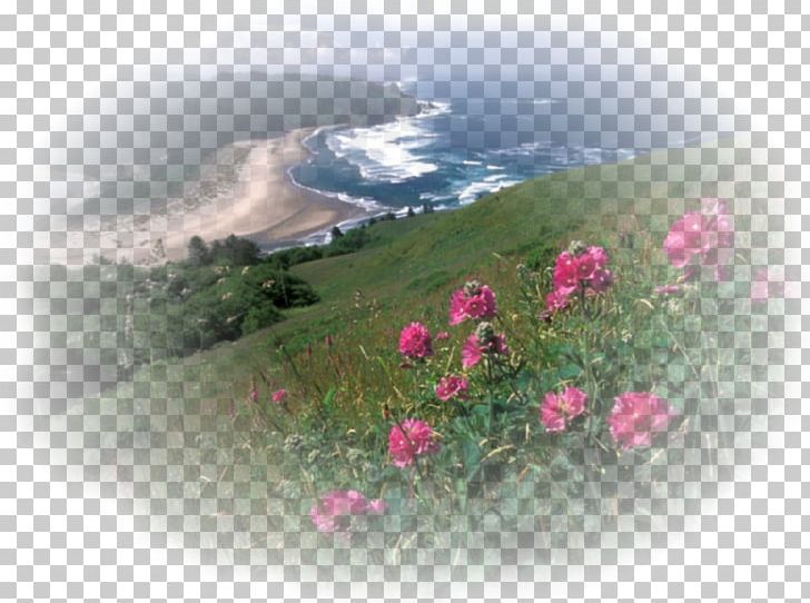 Cascade Head Oregon Coast Desktop PNG, Clipart, Beach, Coast, Desktop Wallpaper, Doga, Doga Manzara Free PNG Download