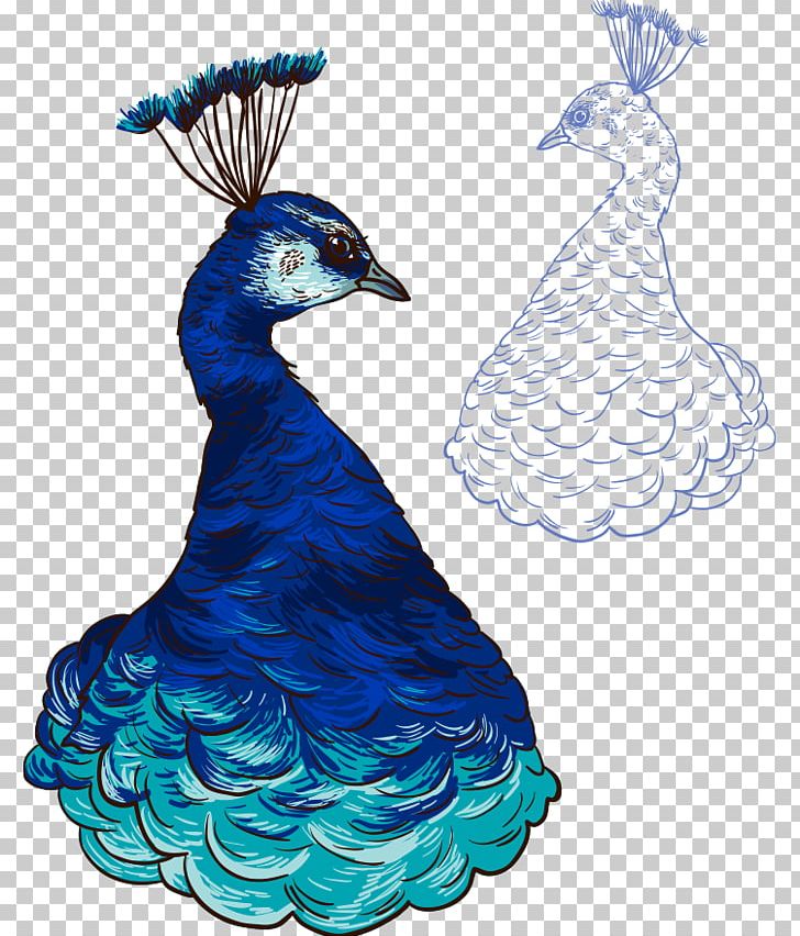 Peafowl Paper Illustration PNG, Clipart, Animals, Asiatic Peafowl, Beautiful Vector, Bird, Blue Free PNG Download