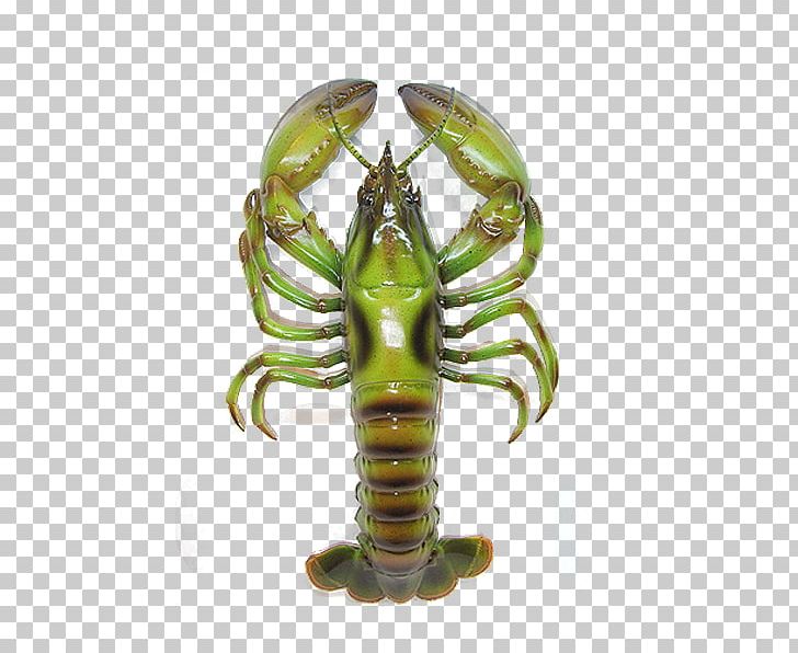 Lobster Palinurus Elephas Decapoda PNG, Clipart, Adobe Illustrator, Animals, Antenna, Chilled, Download Free PNG Download