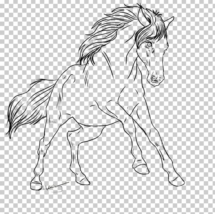Mane Mustang Pony Stallion Halter PNG, Clipart,  Free PNG Download