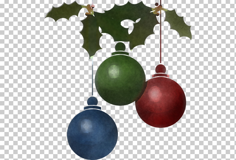 Christmas Ornament PNG, Clipart, Christmas Decoration, Christmas Ornament, Holiday Ornament, Ornament, Plant Free PNG Download