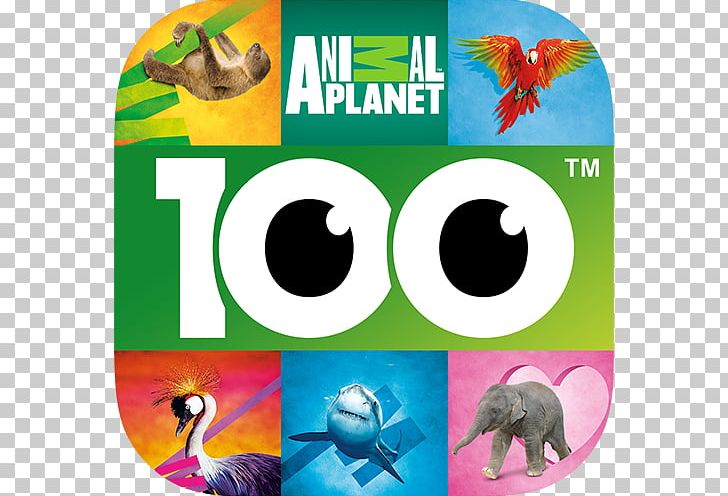 100 PICS Quiz PNG, Clipart, Advertising, Android, Animal Planet, Brand, Celebrity Free PNG Download